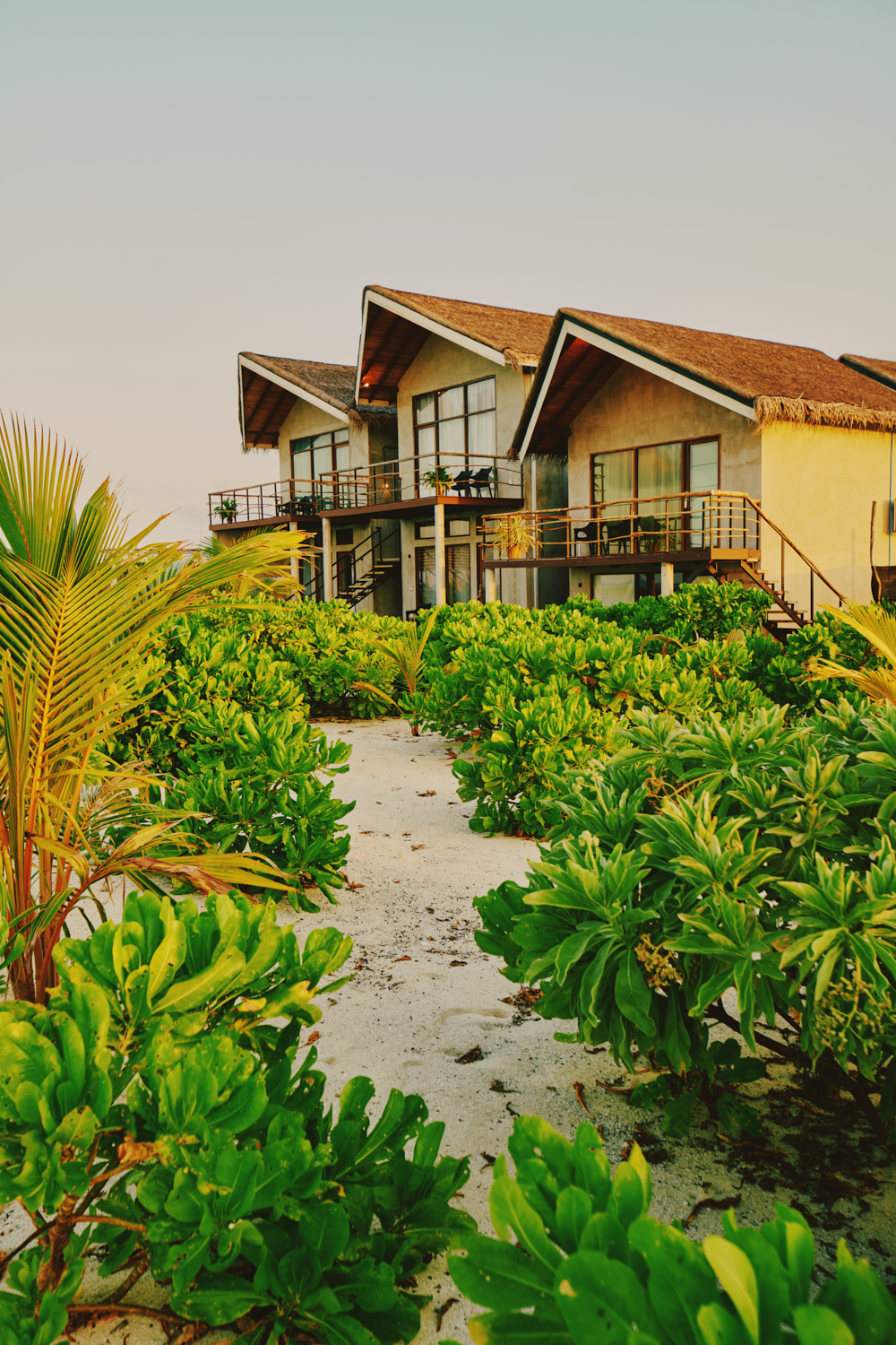 Superior Garden Villa
